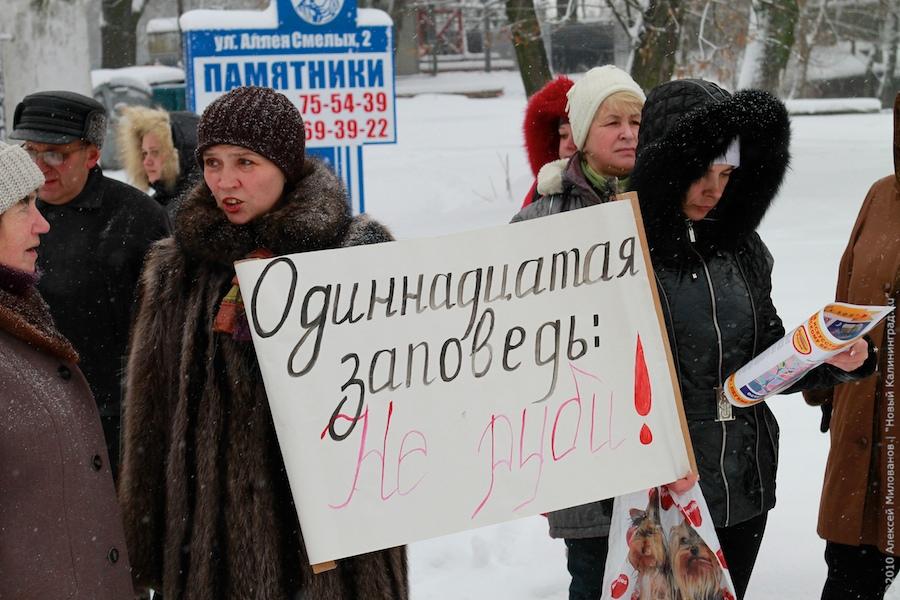 "Зеленые терминаторы": репортаж "Нового Калининграда.Ru"